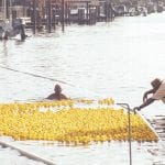 article image -